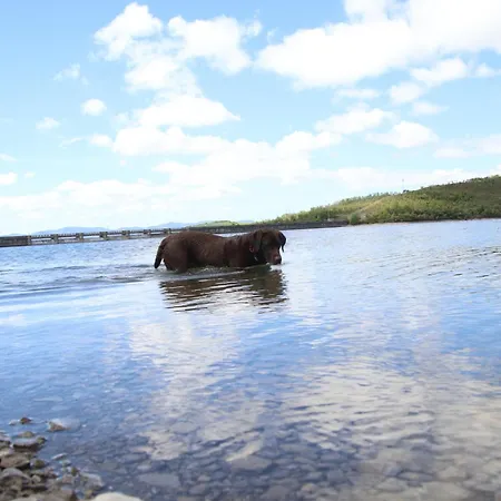 Ideal Florida * ויטוריה-גאסטייז