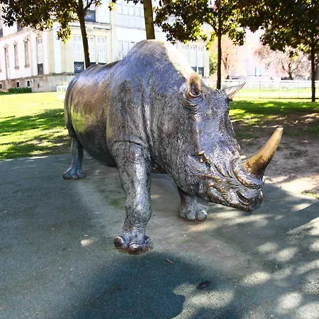 דירה Ideal Florida ויטוריה-גאסטייז