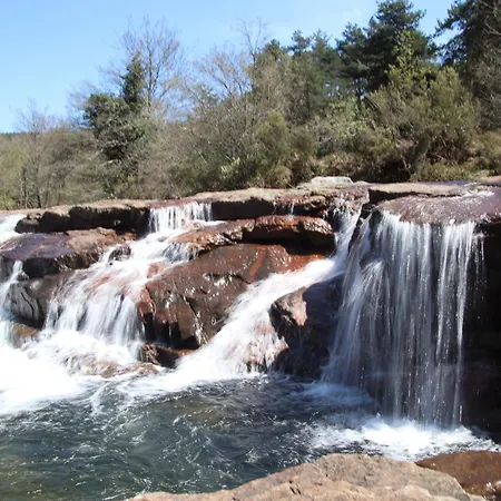 Daire Ideal Florida *